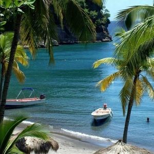 Meet your Posher, Alisha